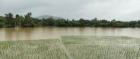 पूर फुटाने वाढला, इंचाने ओसरू लागला The floodwaters rose, Inches began to oscillate