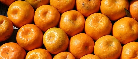 Orange Market