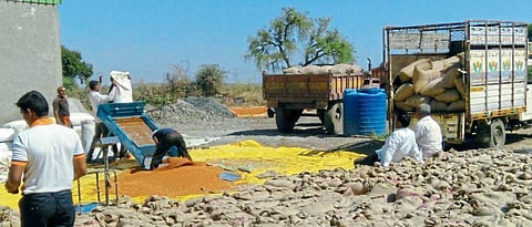 Having an enterprise license makes it possible for a farmer company to set up a business.