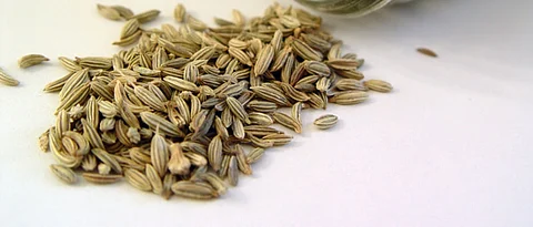 health benefits of Fennel ॊ