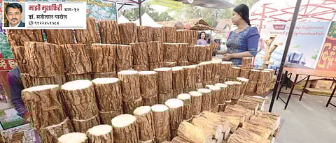 बाजारपेठेमध्ये अनेक ठिकाणी थनाकासाठी खोडांची विक्री सुरू असते