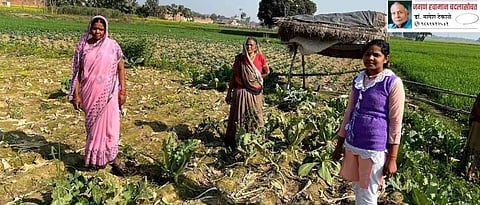 Under the guidance of the University of Agriculture, women farmers have turned to vegetable cultivation.