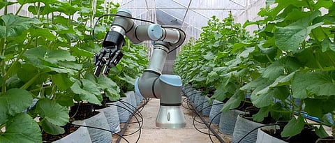 Robotic Farming