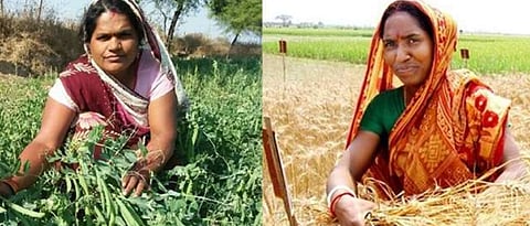 mahila kisan yojana