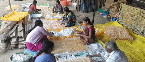 अनंतराव खडसे यांच्या शेडजवळ मजुरांकरवी रेशीम कोष काढणी सुरू असताना