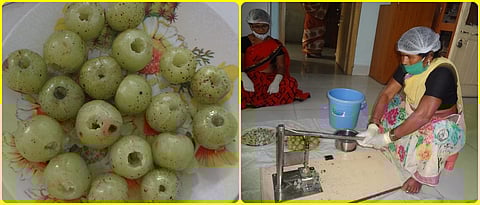 Manual machine for extracting amla seeds.