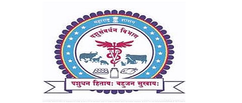 Livestock vaccination slows down due to low manpower