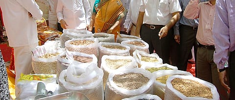 Grain Festival