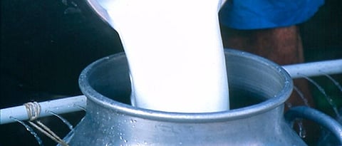 The question of payment before the dairy industry in the co-operative sector