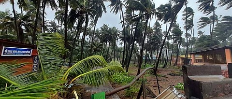 Distribution of Rs. 46 crore to farmers affected by heavy rains in Ratnagiri district