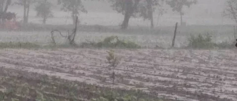 Rain : औरंगाबाद, जालना, बीड जिल्ह्यांत अवकाळी पाऊस