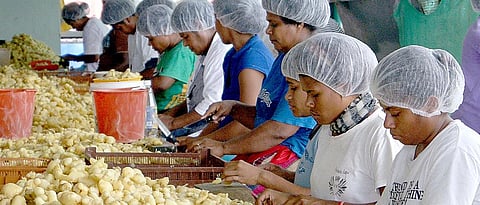 micro food processing industry