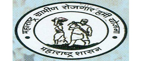 Tree planting scheme will be resumed in Parola