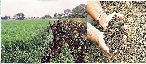 Soil Health