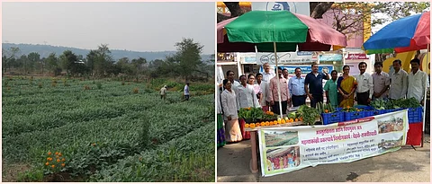 सामूहिक शेतीतून महिला गटाने वाढविली आर्थिक उलाढाल