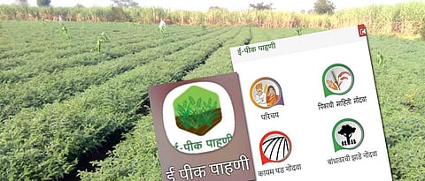 Remove the problems in e-crop survey