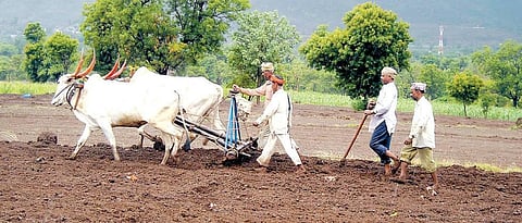Kharif Season