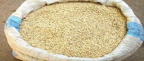 Paddy Procurement