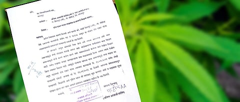 शेतकऱ्याने मागितली गांजा लागवडीसाठी परवानगी !