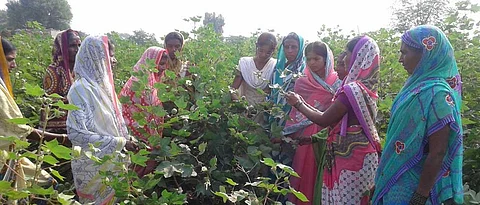 women self help group members