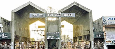 Amravati Market Committee to set up 'Agriculture Hub'