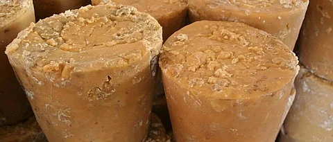 Accelerate jaggery production in the race
