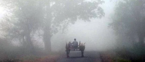 संग्रहित छायाचित्र