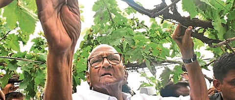 Sharad Pawar
