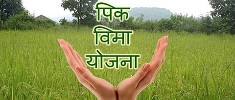 Parbhani: Farmers waiting for insurance coverage under reduction in crop production