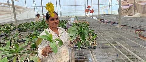 Shubhangi dalavi while showing various seedlings in the nursery