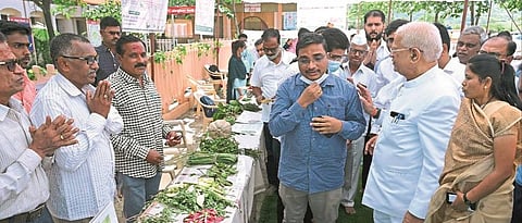 Consumption of legumes, herbs Healthy: More