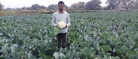 भाजीपाला उत्पादनातून दुष्काळी स्थितीतही दररोज शेतकऱ्यांच्या हाती ताजा पैसा येत आहे.