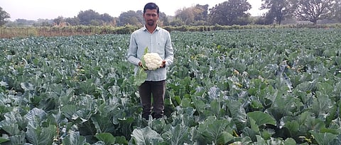 भाजीपाला उत्पादनातून दुष्काळी स्थितीतही दररोज शेतकऱ्यांच्या हाती ताजा पैसा येत आहे. 