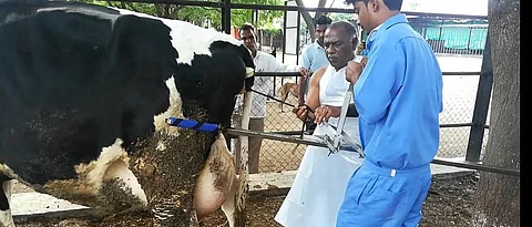 calf puller