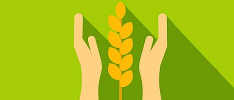 Advance Crop Insurance