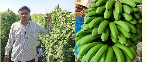 Gorakh Patil showing quality product.