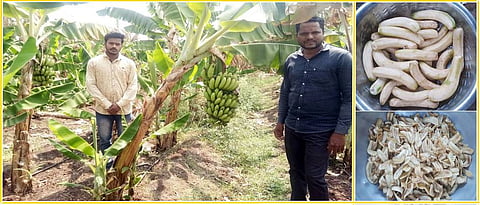 Production of wafers from bananas during lockdown period