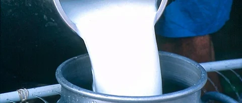 Milk Union