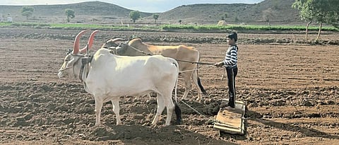 Increase agricultural production using organic fertilizers: Padwal