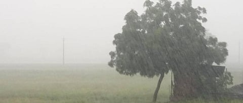 Maharashtra Monsoon Update