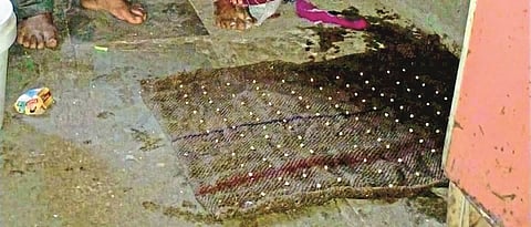 Demonstration of seed germination capacity in villages