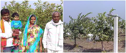 दर्जेदार पेरू, खरबूज उत्पादनात हातखंडा
