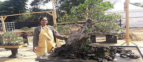 तेहेतीस वर्षांपासून ‘बोन्सय’ कलेचा ध्यास