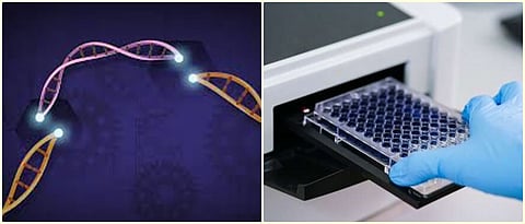 पाण्यातील सूक्ष्मजीवांचे प्रमाण तपासण्यासाठी सोपे तंत्र