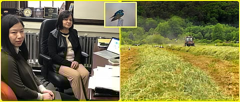 पक्ष्यांच्या जैवविविधतेत वेगाने होतेय घट