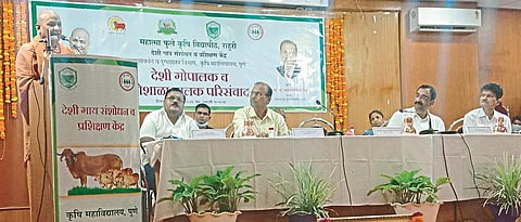 Conservation of native cow breeds is required