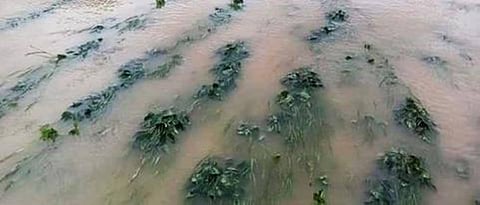 The flood victims in Chalisgaon taluka will get Rs 3 crore