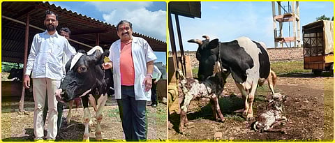 Tamkhada (Dist. Satara): Dayaram Thengil and Dr. Shyam Zanwar with Holstein Friesian Surrogate Cows