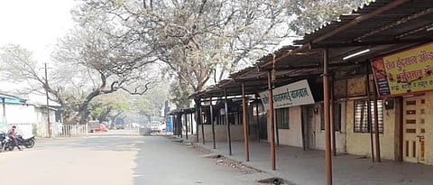 Onion market