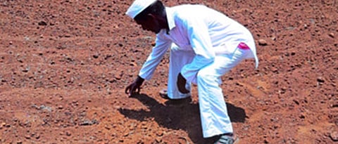 नाशिक जिल्ह्यात भात लागवडीपूर्व कामे सुरू, मात्र अडचणीत वाढ